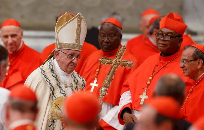 7 Cardinals that May Replace Pope Francis