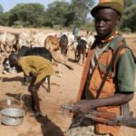 Herdsmen at it Again: Armed Attack Udei Community, Benue State