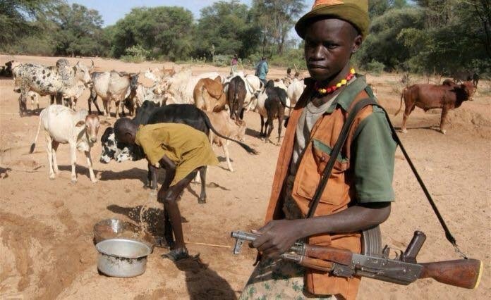 Herdsmen at it Again: Armed Attack Udei Community, Benue State