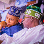 Why We Omitted Shettima in Tinubu’s Endorsement- APC Vice Chairman