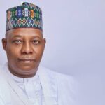 VP Shetima’s Media Aide Clarifies His Statement, Denies Rift With Tinubu