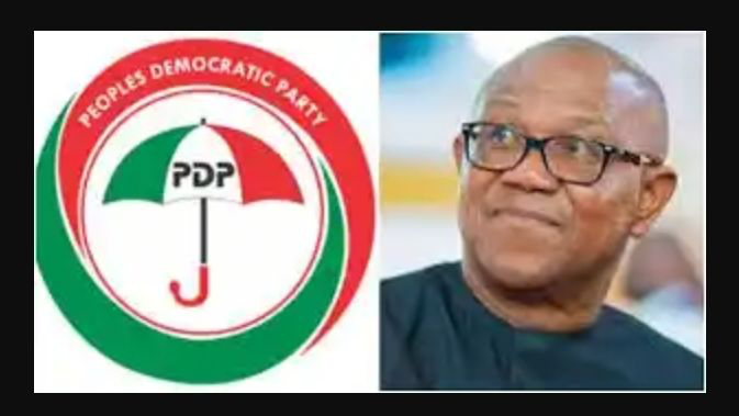 2027 Polls: PDP Woos Peter Obi