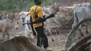 Large Movement of Fulani Herdsmen Reportedly Leaving Nigeria for Cameroon via Adamawa Border